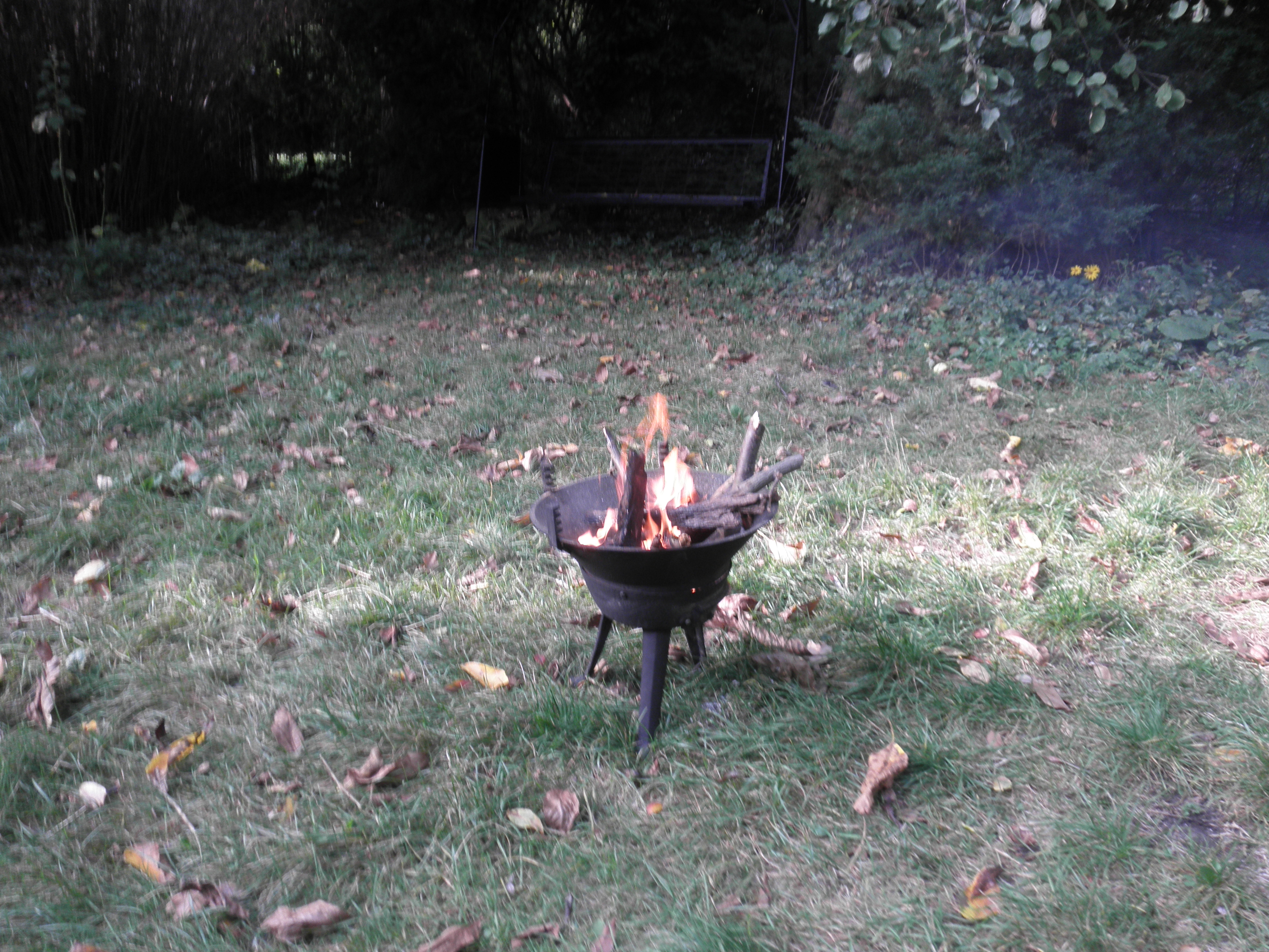 Leider zeigt ihr Browser die Weihehandlung nicht