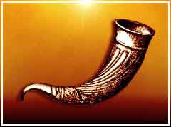 Leider zeigt ihr Browser das Trinkhorn nicht