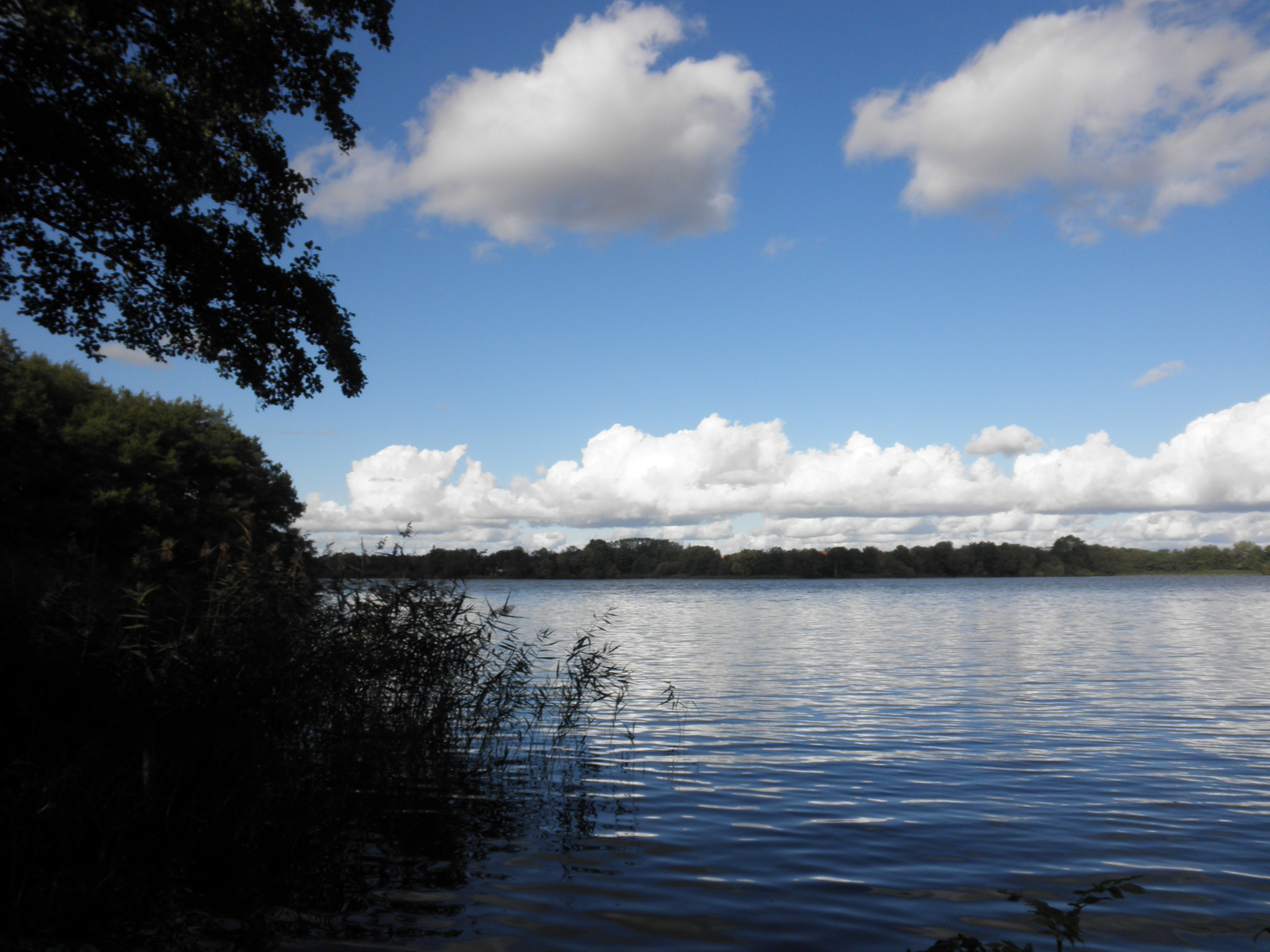 Leider zeigt ihr Browser die Weihehandlung nicht